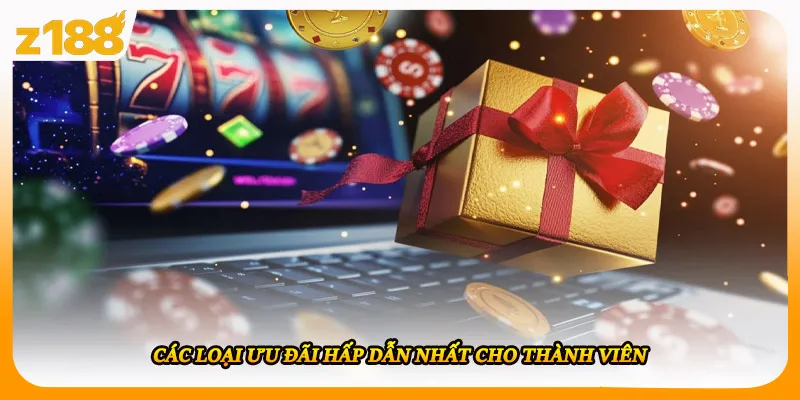 Các loại ưu đãi hấp dẫn nhất cho thành viên
